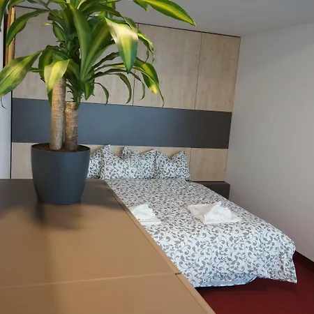 Zora Exclusive By Chors Bratysława