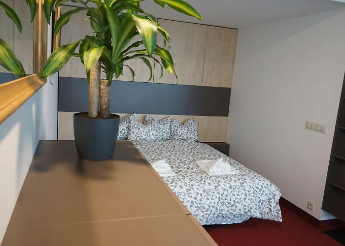 Zora Exclusive By Chors ブラチスラヴァ