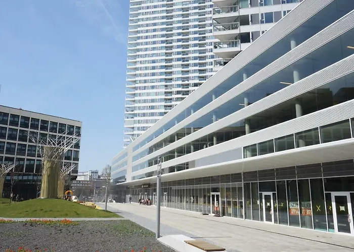 Zora Exclusive By Chors