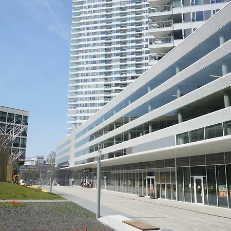 Zora Exclusive By Chors